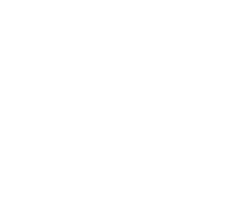 Silna